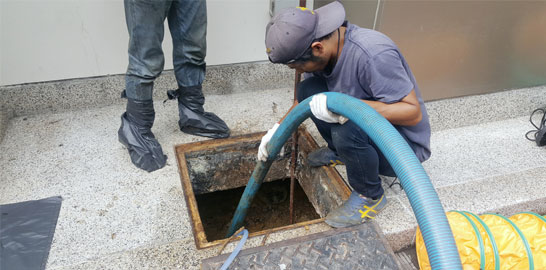 Drainage Cleaning and Hygiene Service